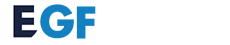 E-gaming federation image