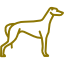 greyhound racing Image